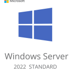 Windows Server 2022 Standard Activation Key